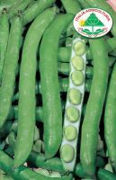 Fava extra precoce a grano violetto